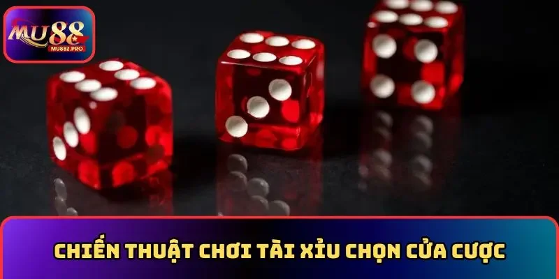 Chiến thuật chơi tài xỉu chọn cửa cược