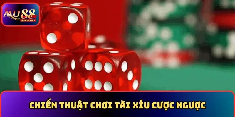Chiến thuật chơi tài xỉu cược ngược