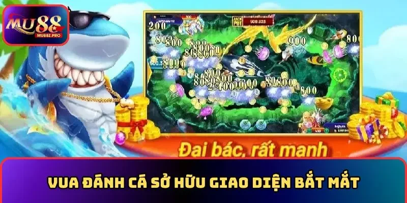 Vua đánh cá cung cấp vũ khí đa dạng